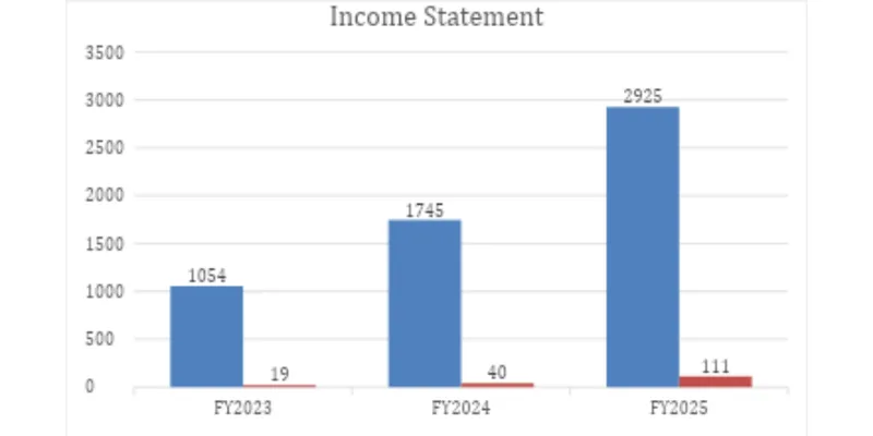 Income Statement